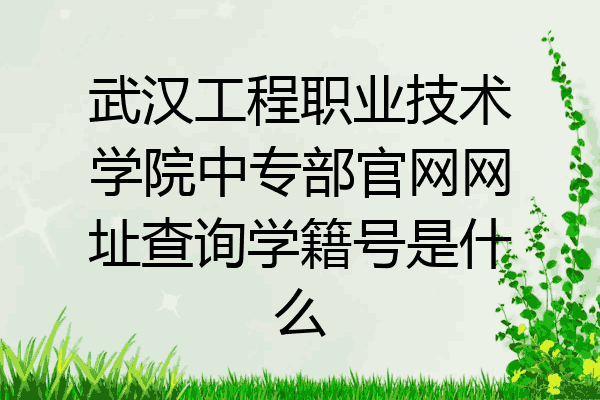 武汉工程职业技术学院中专部官网网址查询学籍号是什么