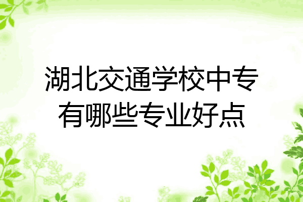 湖北交通学校中专有哪些专业好点