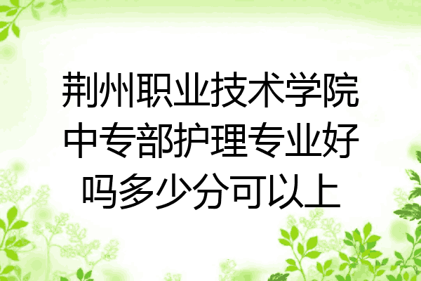 荆州职业技术学院中专部护理专业好吗多少分可以上