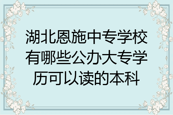 湖北恩施中专学校有哪些公办大专学历可以读的本科