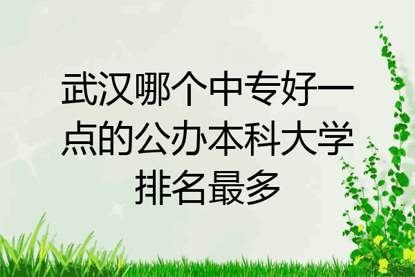 武汉哪个中专好一点的公办本科大学排名最多