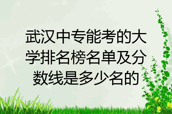 武汉中专能考的大学排名榜名单及分数线是多少名的