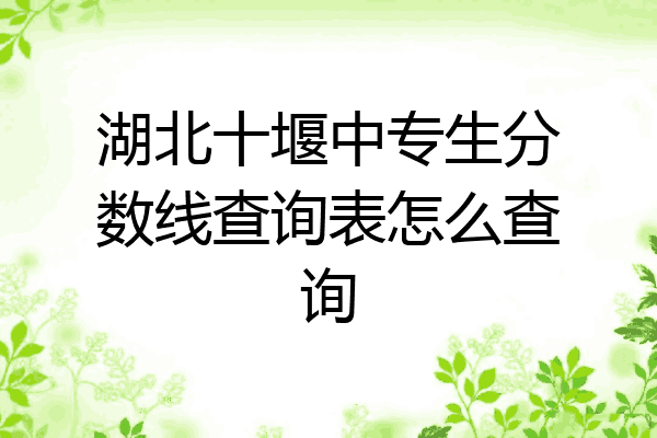 湖北十堰中专生分数线查询表怎么查询