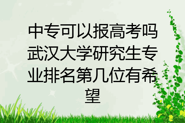 中专可以报高考吗武汉大学研究生专业排名第几位有希望