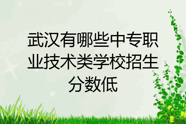 武汉有哪些中专职业技术类学校招生分数低