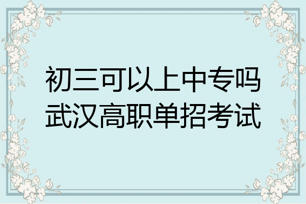 初三可以上中专吗武汉高职单招考试