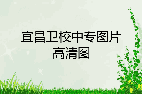 宜昌卫校中专图片高清图