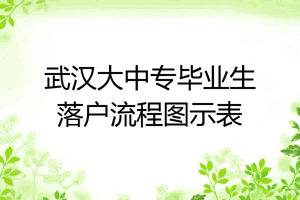 武汉大中专毕业生落户流程图示表