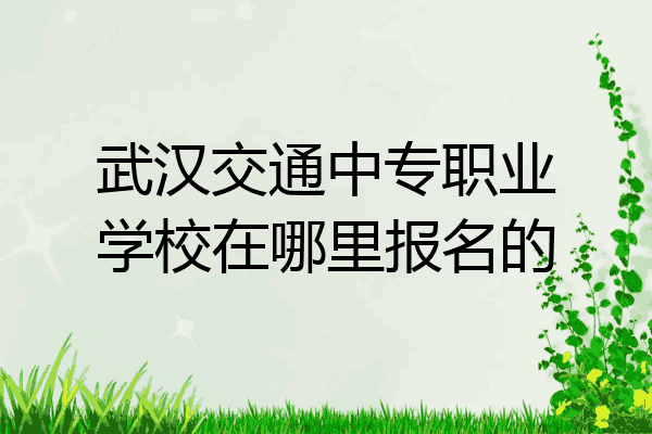 武汉交通中专职业学校在哪里报名的
