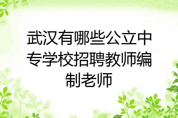 武汉有哪些公立中专学校招聘教师编制老师