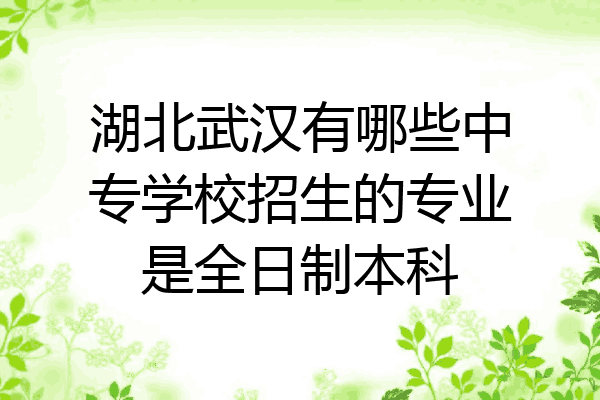 湖北武汉有哪些中专学校招生的专业是全日制本科