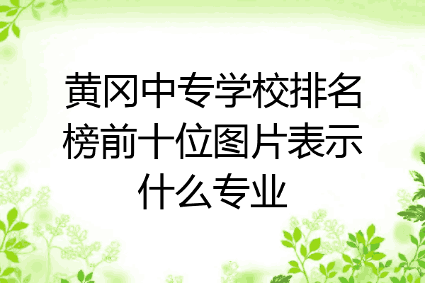 黄冈中专学校排名榜前十位图片表示什么专业