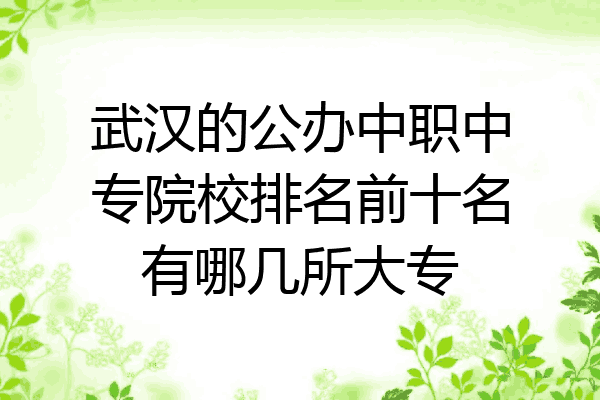 武汉的公办中职中专院校排名前十名有哪几所大专