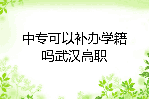 中专可以补办学籍吗武汉高职