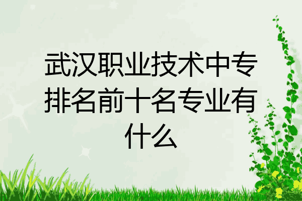武汉职业技术中专排名前十名专业有什么