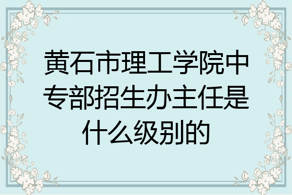 黄石市理工学院中专部招生办主任是什么级别的