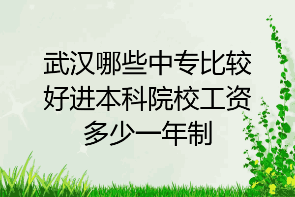 武汉哪些中专比较好进本科院校工资多少一年制