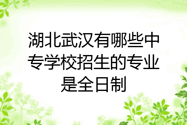 湖北武汉有哪些中专学校招生的专业是全日制