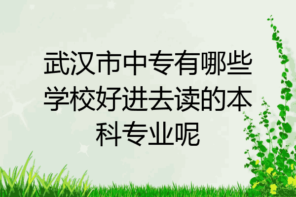 武汉市中专有哪些学校好进去读的本科专业呢
