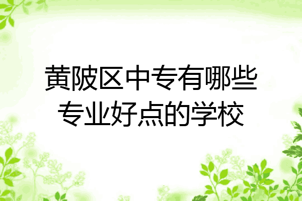 黄陂区中专有哪些专业好点的学校