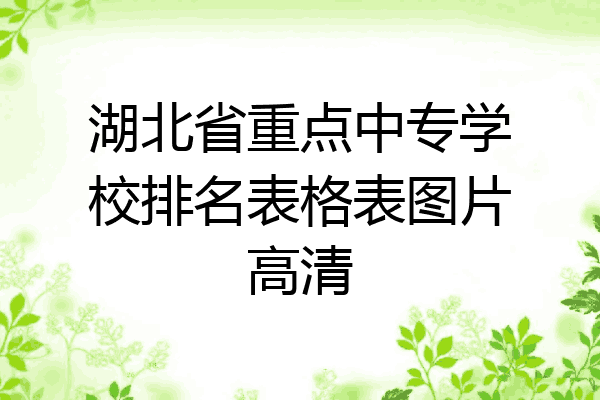 湖北省重点中专学校排名表格表图片高清