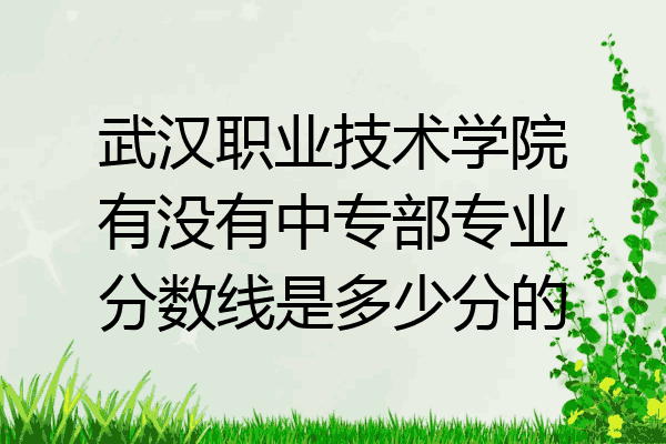 武汉职业技术学院有没有中专部专业分数线是多少分的