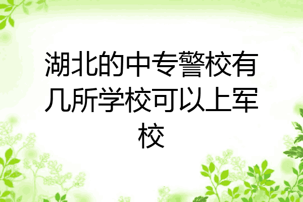 湖北的中专警校有几所学校可以上军校