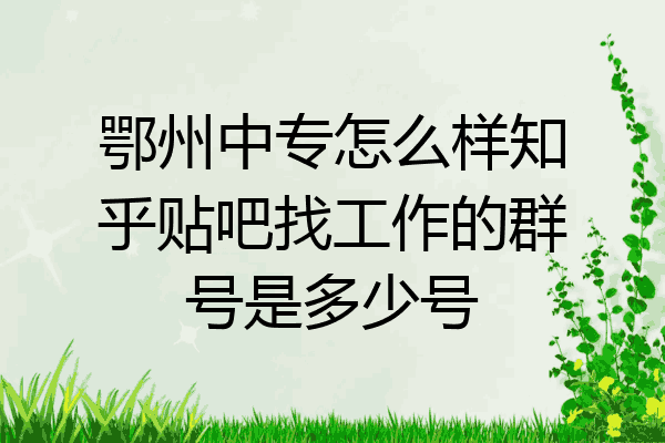 鄂州中专怎么样知乎贴吧找工作的群号是多少号