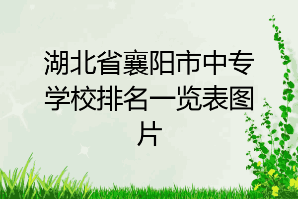 湖北省襄阳市中专学校排名一览表图片