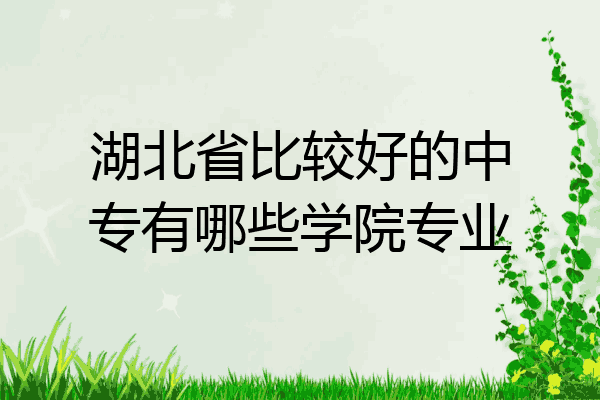 湖北省比较好的中专有哪些学院专业