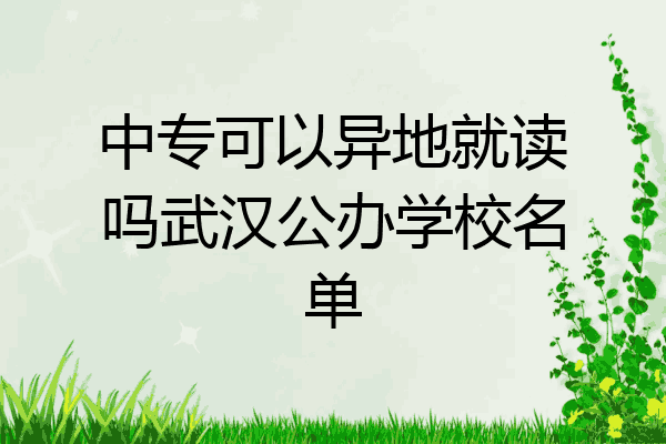 中专可以异地就读吗武汉公办学校名单