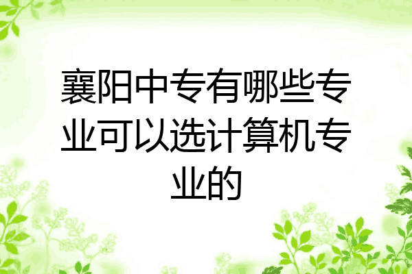 襄阳中专有哪些专业可以选计算机专业的
