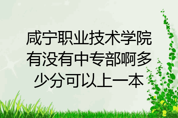 咸宁职业技术学院有没有中专部啊多少分可以上一本