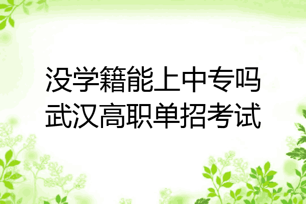 没学籍能上中专吗武汉高职单招考试