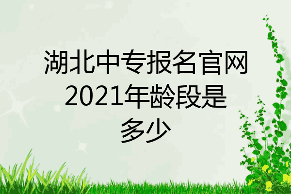 湖北中专报名官网2021年龄段是多少