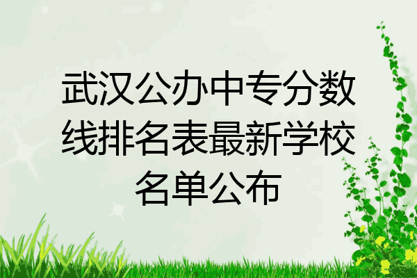 武汉公办中专分数线排名表最新学校名单公布