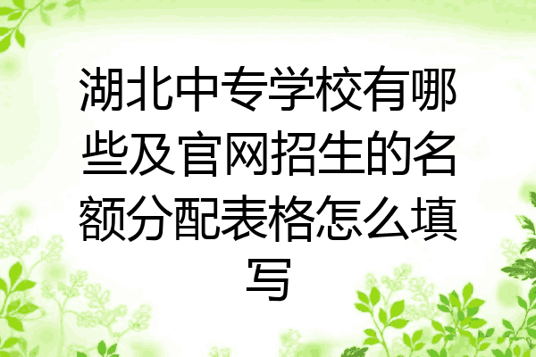 湖北中专学校有哪些及官网招生的名额分配表格怎么填写