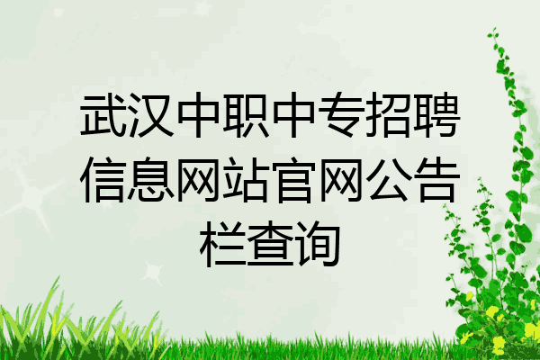 武汉中职中专招聘信息网站官网公告栏查询
