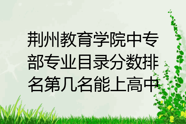 荆州教育学院中专部专业目录分数排名第几名能上高中