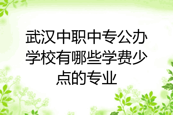 武汉中职中专公办学校有哪些学费少点的专业