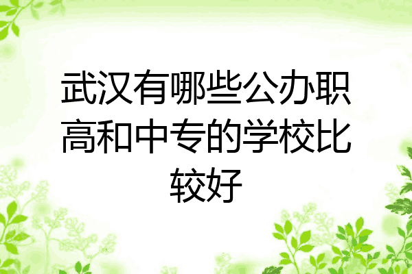 武汉有哪些公办职高和中专的学校比较好