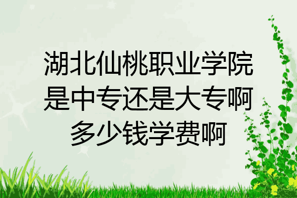 湖北仙桃职业学院是中专还是大专啊多少钱学费啊