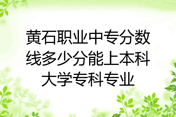 黄石职业中专分数线多少分能上本科大学专科专业