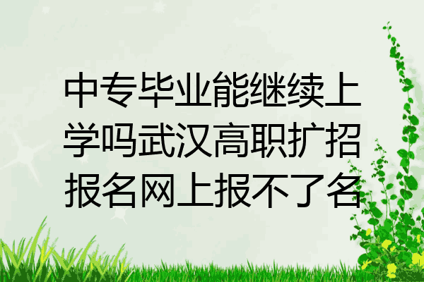 中专毕业能继续上学吗武汉高职扩招报名网上报不了名