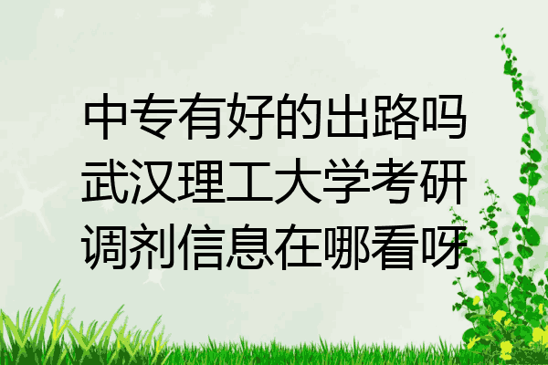 中专有好的出路吗武汉理工大学考研调剂信息在哪看呀