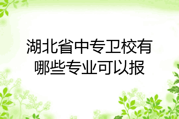 湖北省中专卫校有哪些专业可以报