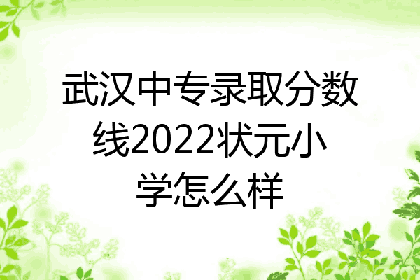 武汉中专录取分数线2022状元小学怎么样