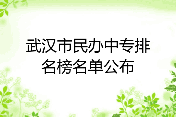武汉市民办中专排名榜名单公布