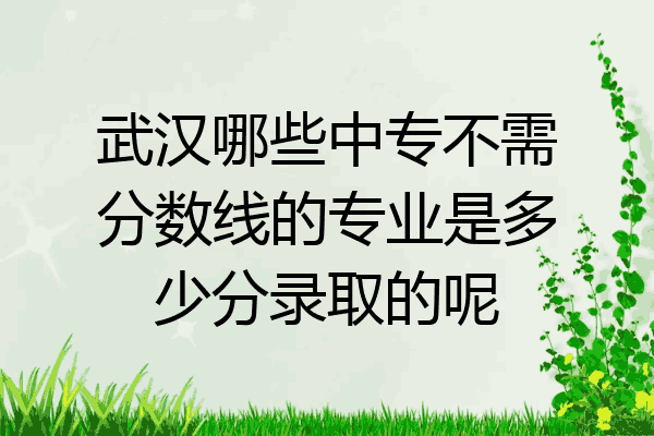 武汉哪些中专不需分数线的专业是多少分录取的呢