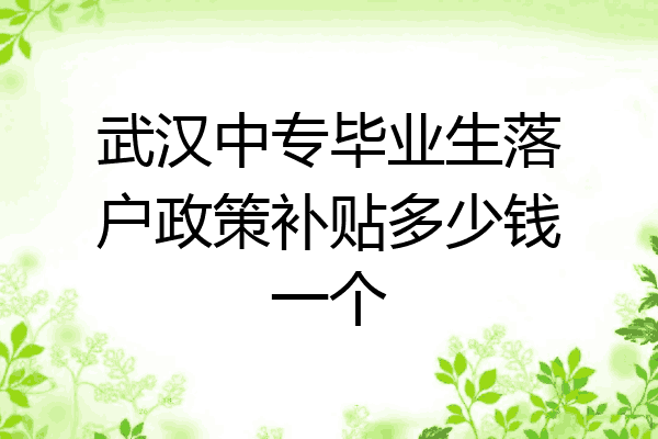 武汉中专毕业生落户政策补贴多少钱一个